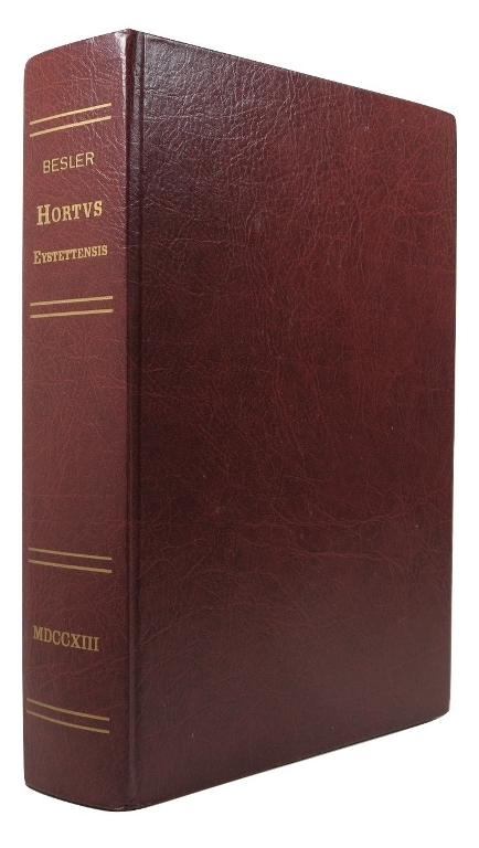 Image for Hortus Eystettensis sive diligens et accurata omnium plantarum, florum, stirpium, ex variis orbis terrae partibus, singulari studio collectarum, .