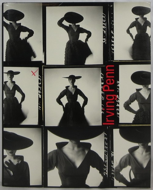 Image for Irving Penn: A Career in Photography