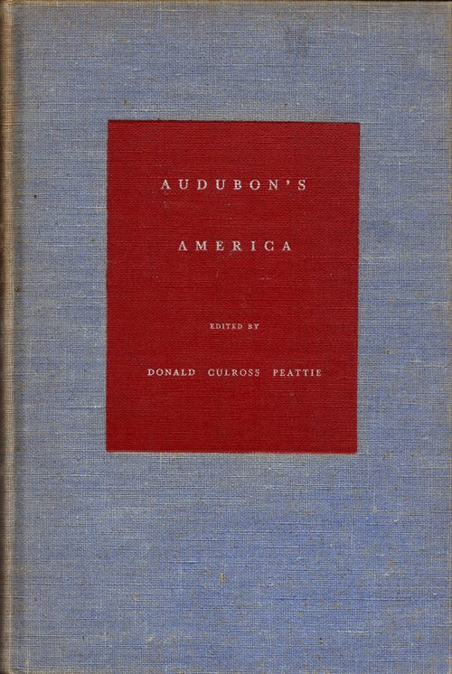 Image for Audubon's America