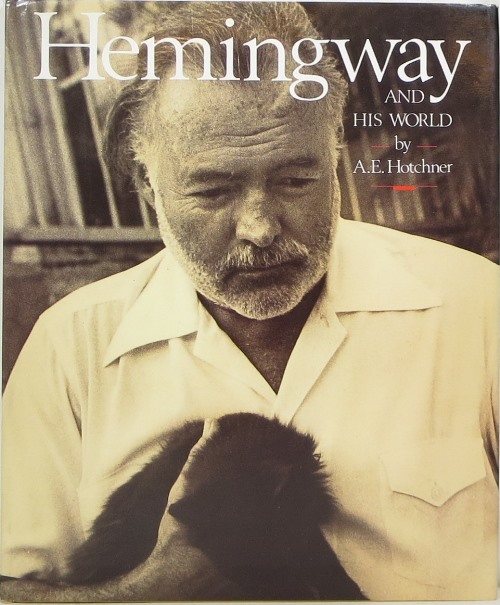 Image for Hemingway and His World