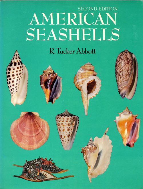 Image for American Seashells: The Marine Mollusca of the Atlantic and Pacific Coasts of North America