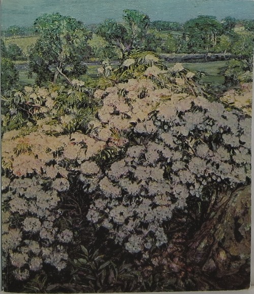Image for Connecticut and American Impressionism