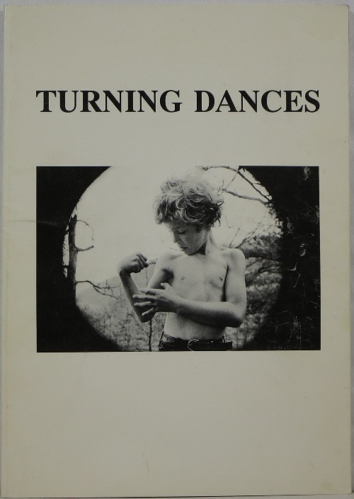 Image for Turning Dances: An Anthology of North Carolina Poets