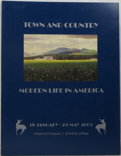 Image for Town and Country: Modern Life in America