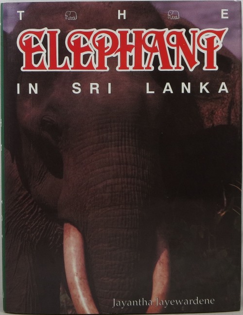Image for The Elephant in Sri Lanka