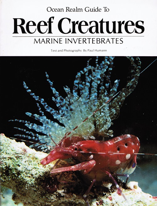 Image for Ocean Realm Guide to Reef Creatures: Marine Invertebrates