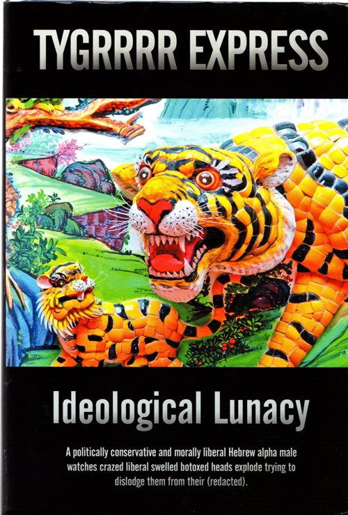 Image for Ideological Lunacy