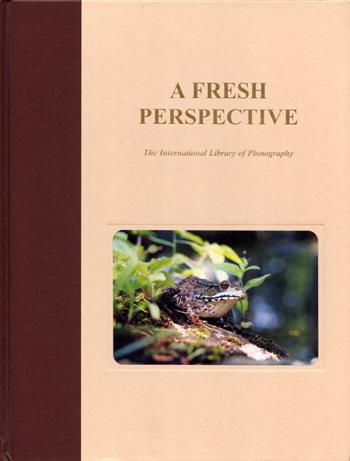 Image for A Fresh Perspective