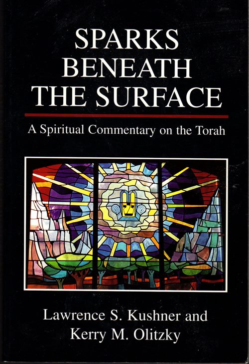 Image for Sparks Beneath the Surface: A Spiritual Commentary on the Torah