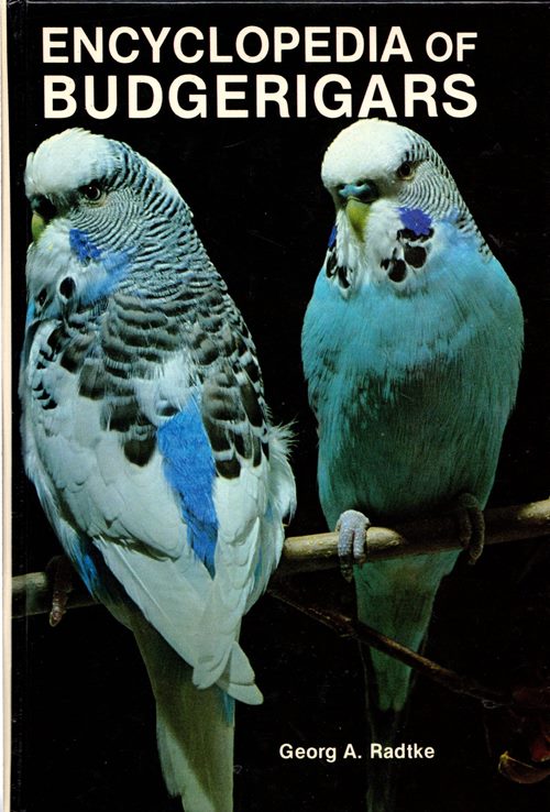Image for Encyclopedia of Budgerigars