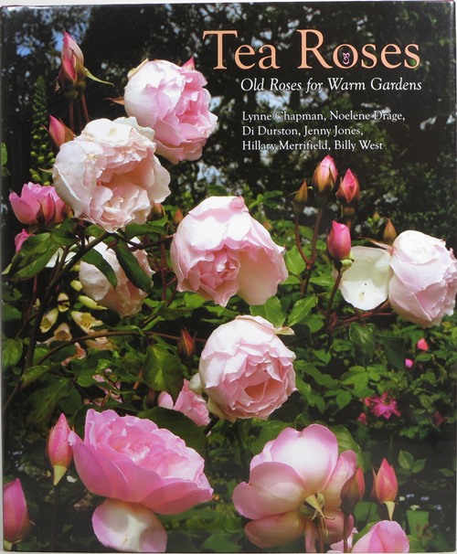 Image for Tea Roses: Old Roses for Warm Gardens Tea Roses: Old Roses for Warm Gardens