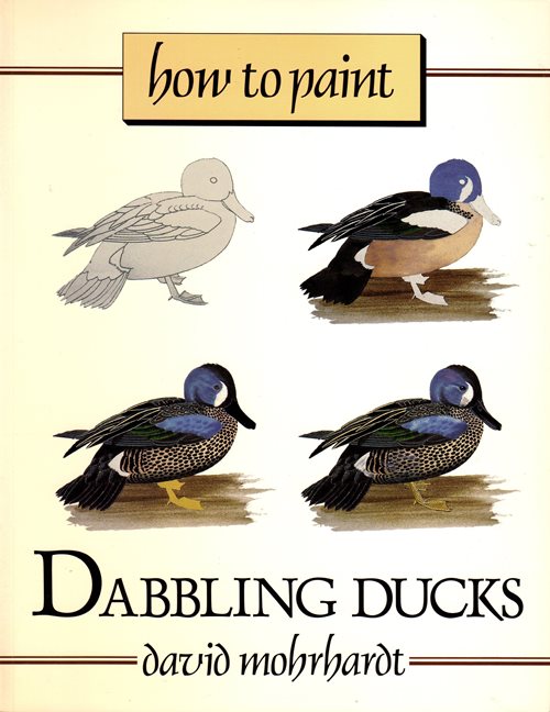 How to Paint Dabbling Ducks: A Guide to Materials, Tools, and Technique