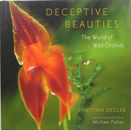 Image for Deceptive Beauties: The World of Wild Orchids Deceptive Beauties: The World of Wild Orchids
