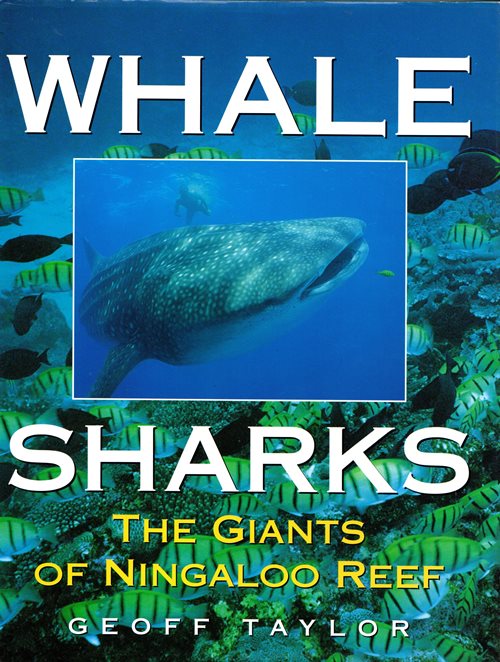 Whale Sharks: The Giants of Ningaloo Reef