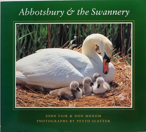Abbotsbury & the Swannery