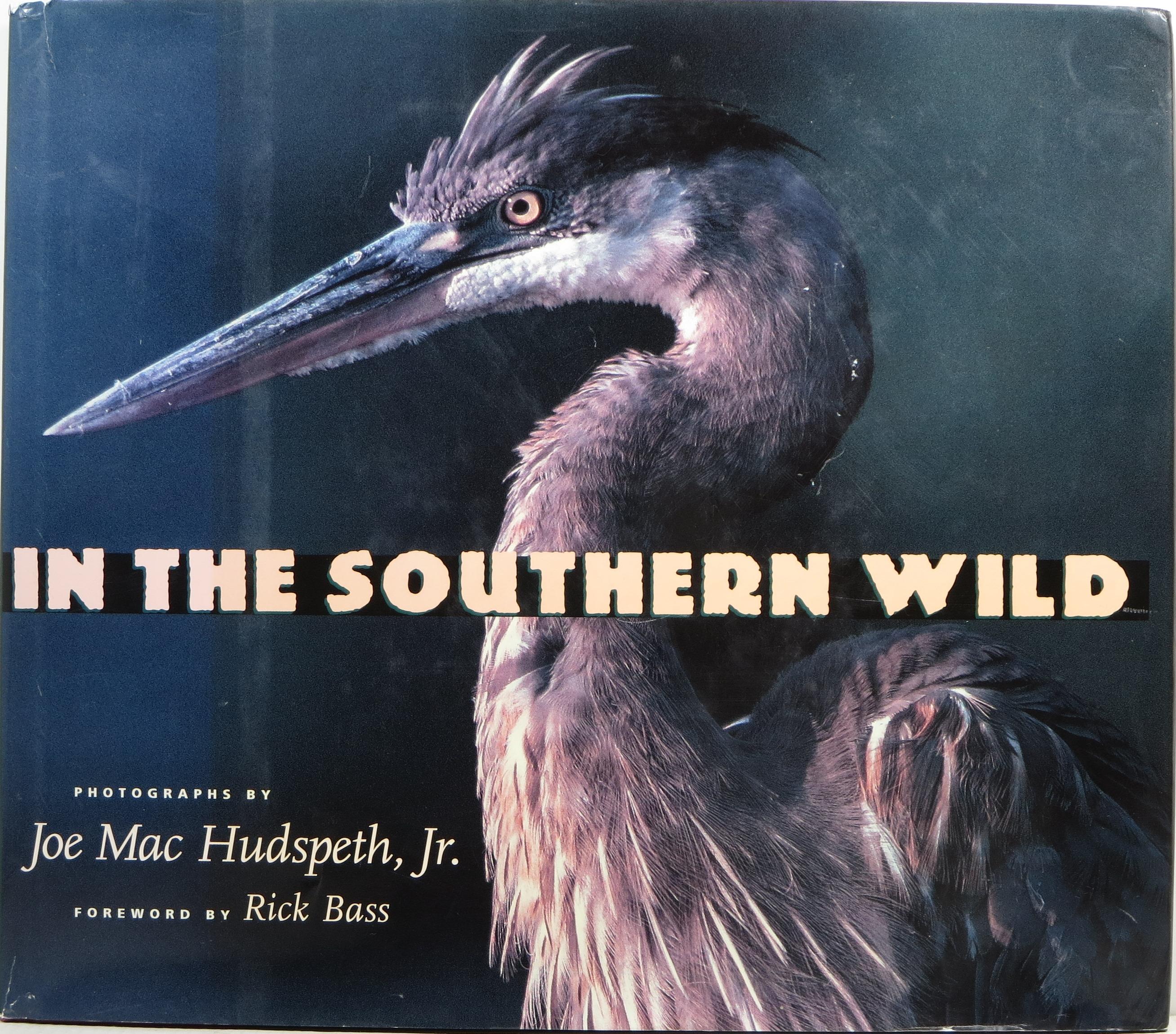 Image for In the Southern Wild In the Southern Wild