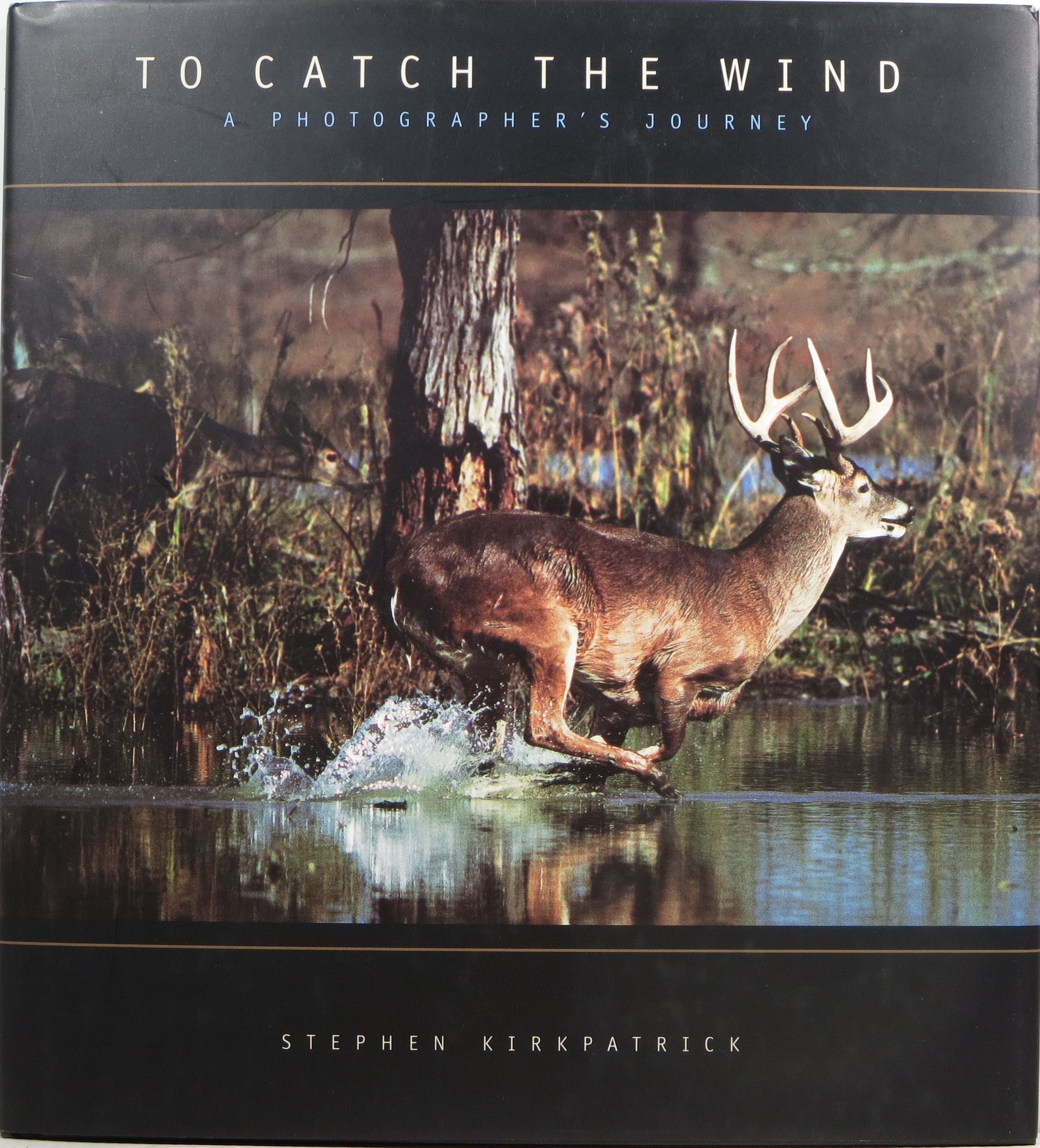 Image for To Catch the Wind: A Photographer's Journey To Catch the Wind: A Photographer's Journey